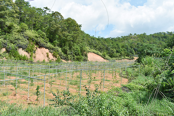 吉鴻基地