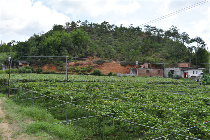 吉鴻基地