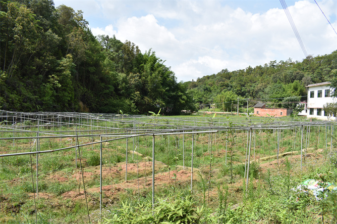 吉鴻基地