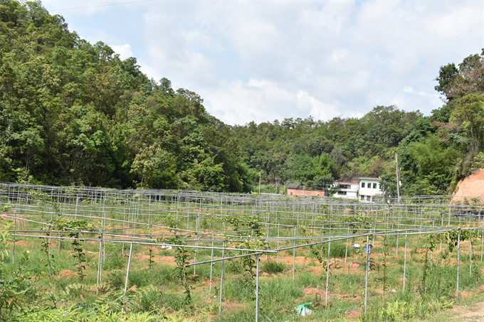 吉鴻基地