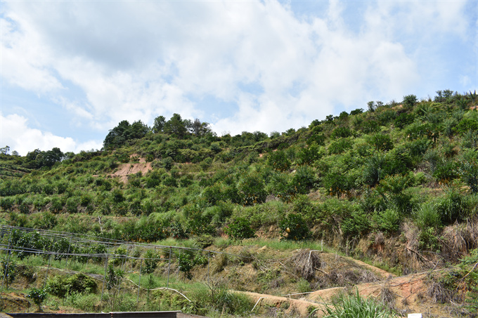 吉鴻基地